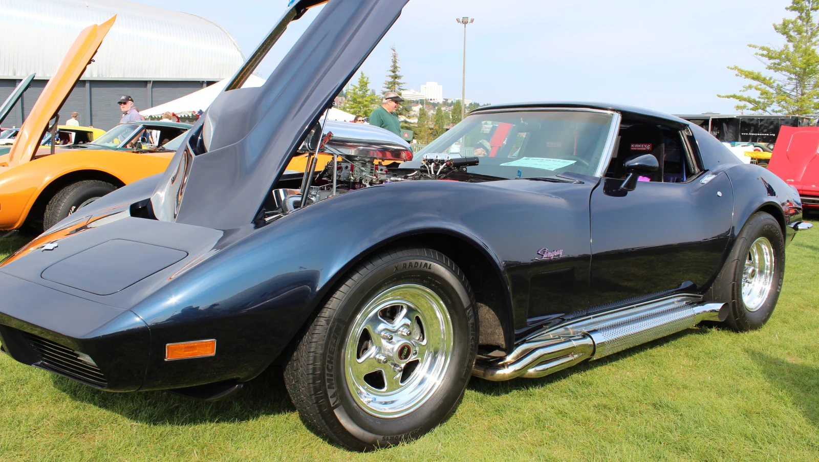 Corvette Generations/C3/C3 1974 -79 Black.webp